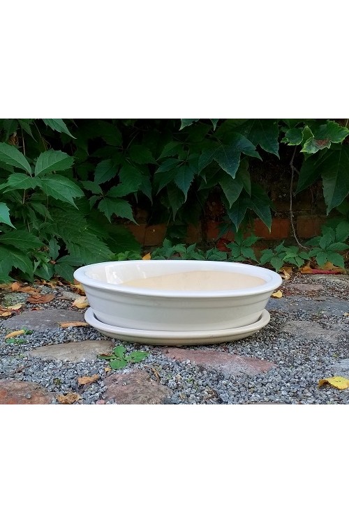 Biaa owalna doniczka do bonsai s/2 79991167 - 25x18x6 cm - doniczki-poznan.pl