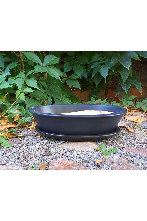 Czarna owalna doniczka do bonsai s/2 79991144 - 25x18x6 cm - doniczki-poznan.pl