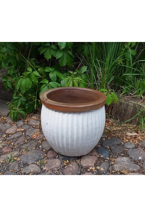 Donica Bonn niska prkowana biaa s/1 79992510 - 27x25 cm - doniczki-poznan.pl