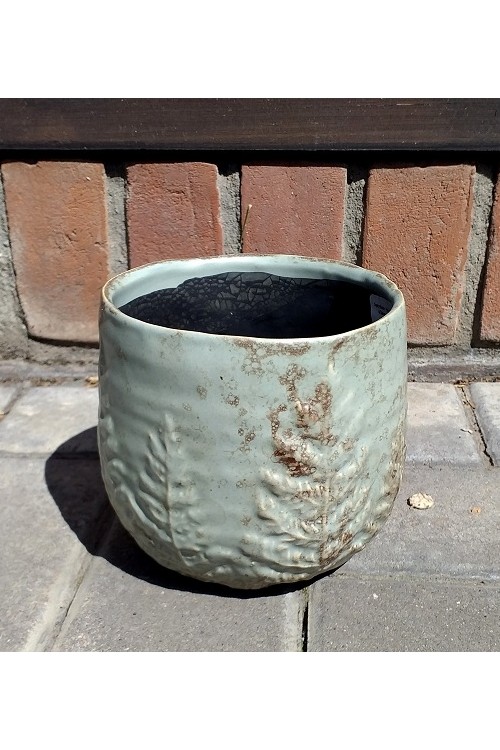 Osonka Papro mitowa s/1 79992232 - 14x12 cm - doniczki-poznan.pl