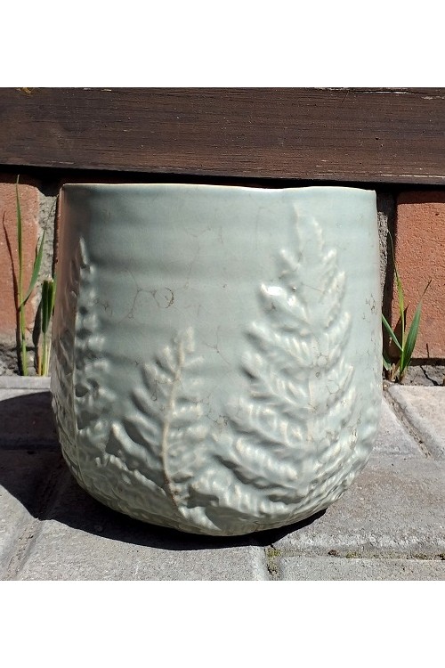 Osonka Papro mitowa s/2 79992233 - 15x14 cm - doniczki-poznan.pl